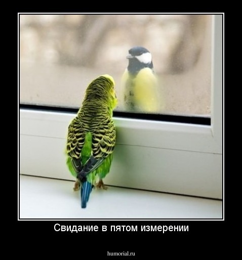 Свидание в пятом измерении