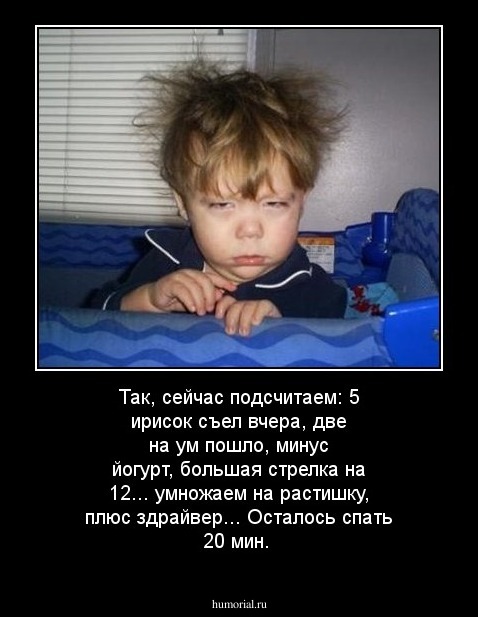 Так, сейчас подсчитаем: 5 ирисок съел вчера, две на ум пошло, минус йогурт, большая стрелка на 12... умножаем на растишку, плюс здрайвер... Осталось спать 20 мин.