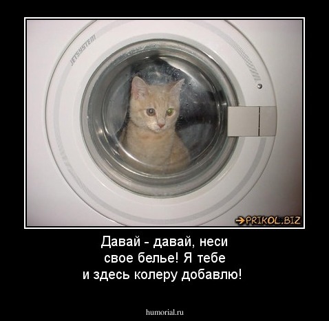 Давай - давай, неси свое белье! Я тебе и здесь колеру добавлю!