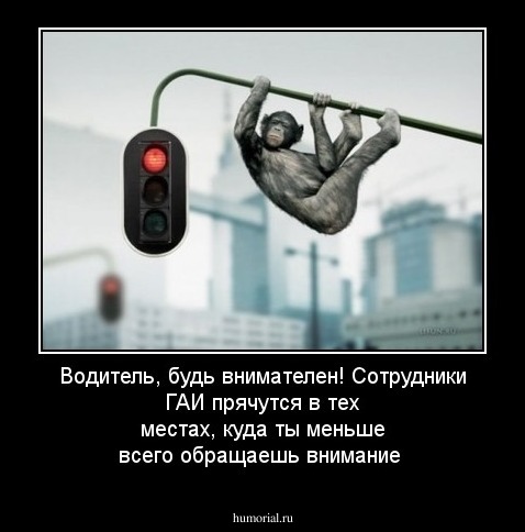 Водитель, будь внимателен! Сотрудники ГАИ прячутся в тех местах, куда ты меньше всего обращаешь внимание