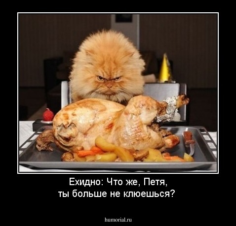 Ехидно: Что же, Петя, ты больше не клюешься?