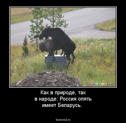 Как в природе, так в народе: Россия опять имеет Беларусь.