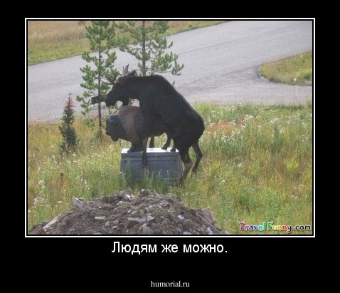 Людям же можно.