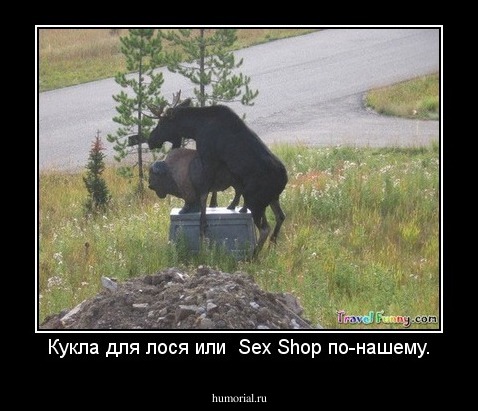 Кукла для лося или  Sex Shop по-нашему.