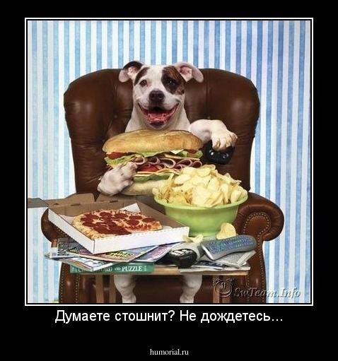 Думаете стошнит? Не дождетесь...