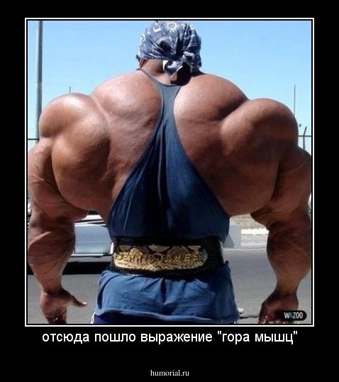 отсюда пошло выражение "гора мышц"