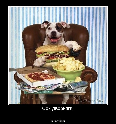 Сон дворняги.