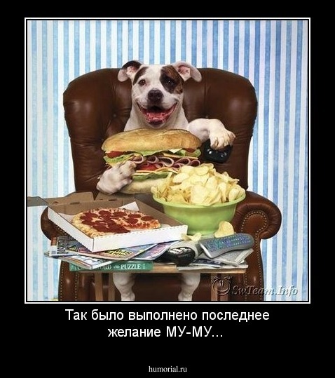 Так было выполнено последнее желание МУ-МУ...