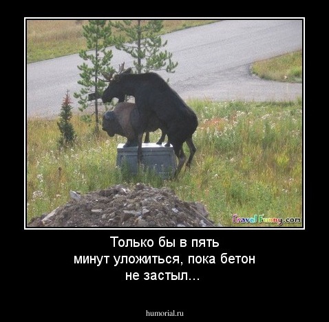 Только бы в пять минут уложиться, пока бетон не застыл...