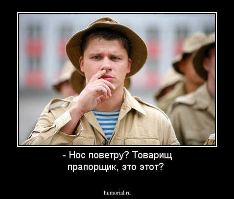 - Нос поветру? Товарищ прапорщик, это этот?