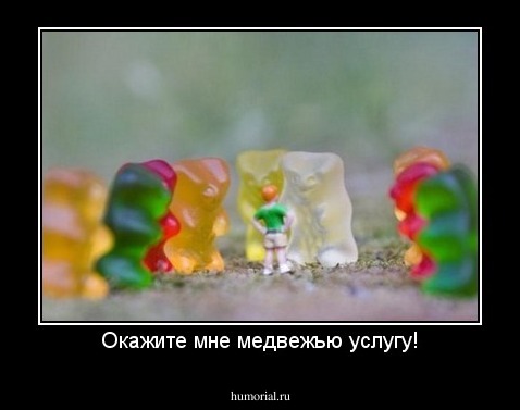 Окажите мне медвежью услугу!