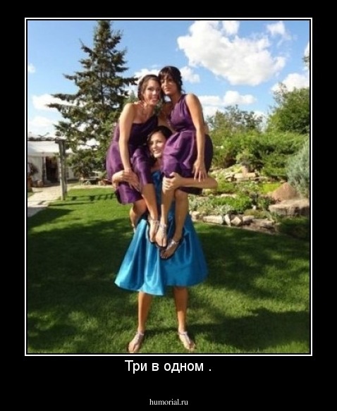 Три в одном .