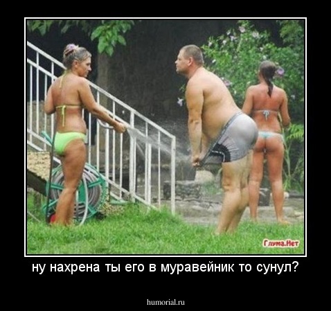 ну нахрена ты его в муравейник то сунул?