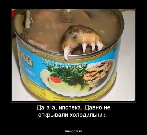 Да-а-а, ипотека. Давно не открывали холодильник.