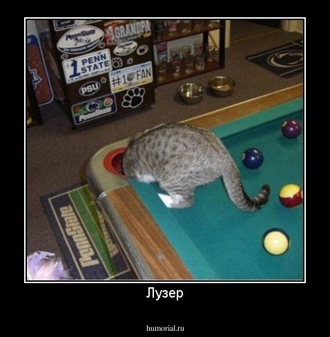 Лузер