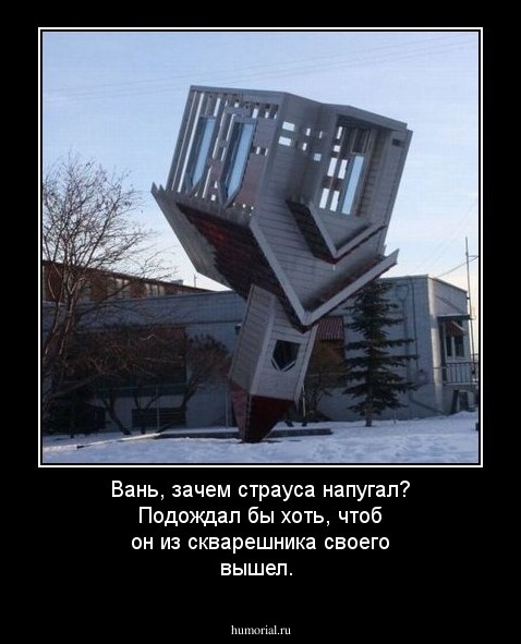 Вань, зачем страуса напугал? Подождал бы хоть, чтоб он из скварешника своего вышел.
