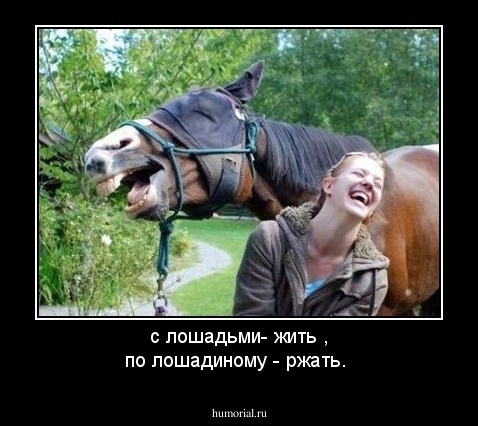 с лошадьми- жить , по лошадиному - ржать.