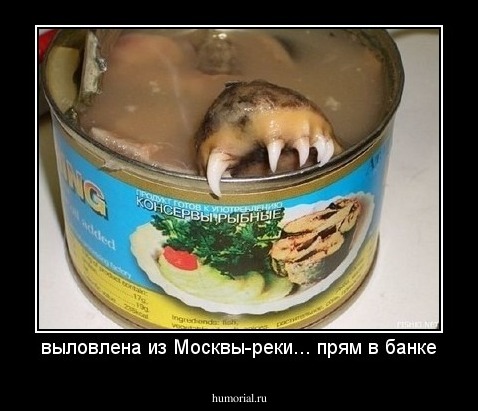 выловлена из Москвы-реки... прям в банке