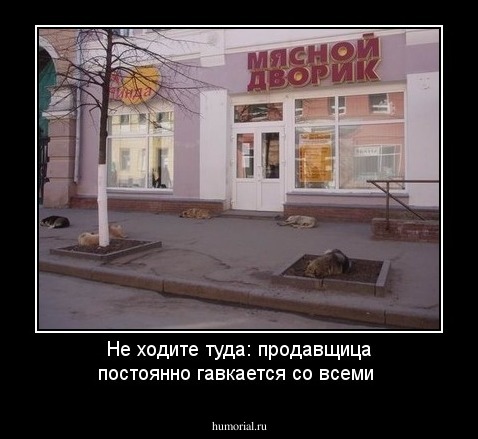 Не ходите туда: продавщица постоянно гавкается со всеми