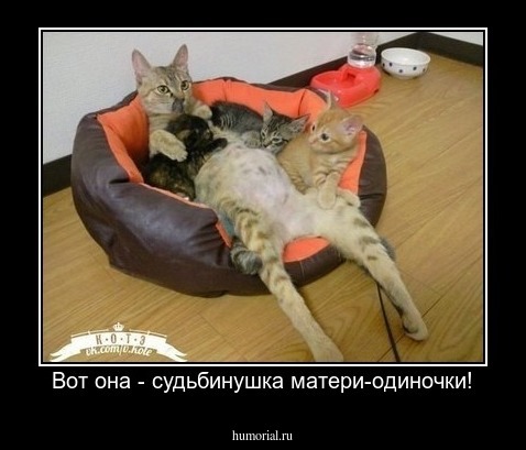 Вот она - судьбинушка матери-одиночки!