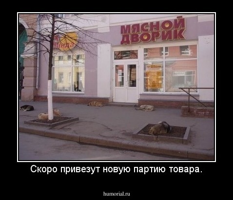 Скоро привезут новую партию товара.