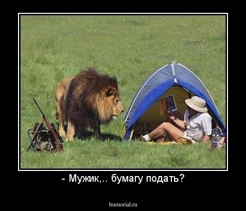 - Мужик,.. бумагу подать?