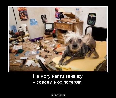 Не могу найти заначку - совсем нюх потерял