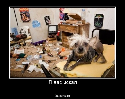 Я вас искал