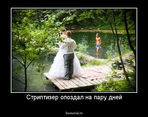 Стриптизер опоздал на пару дней