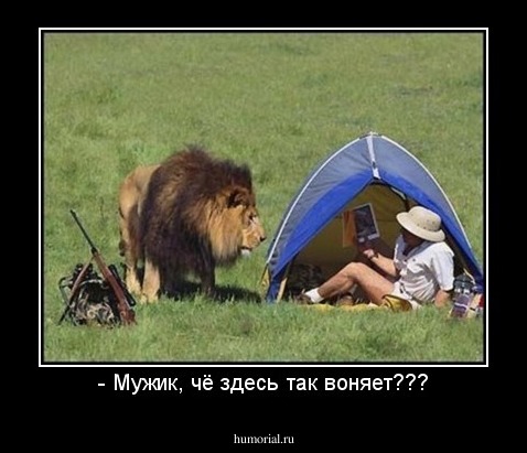 - Мужик, чё здесь так воняет???