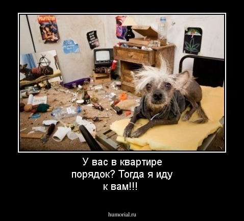 У вас в квартире порядок? Тогда я иду к вам!!!