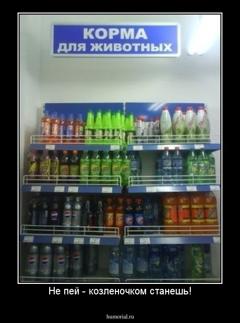 Не пей - козленочком станешь!