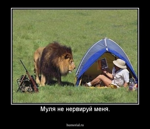 Муля не нервируй меня.