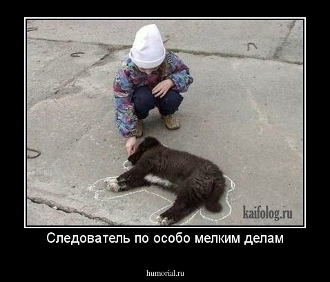 Следователь по особо мелким делам