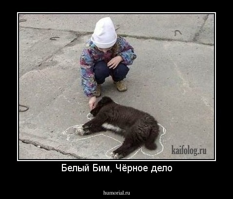 Белый Бим, Чёрное дело