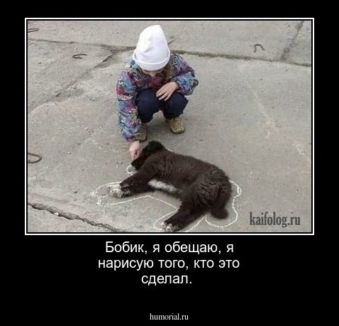 Бобик, я обещаю, я нарисую того, кто это сделал.