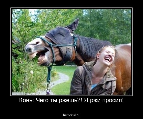 Конь: Чего ты ржешь?! Я ржи просил!