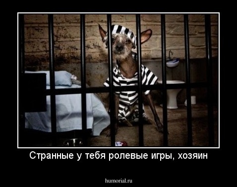Странные у тебя ролевые игры, хозяин