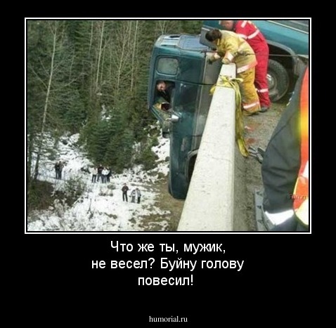 Что же ты, мужик, не весел? Буйну голову повесил!