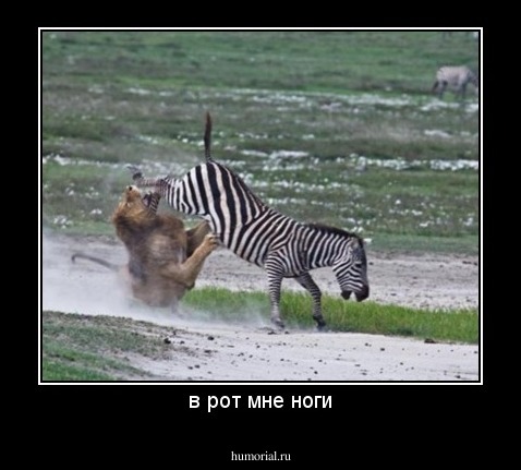 в рот мне ноги