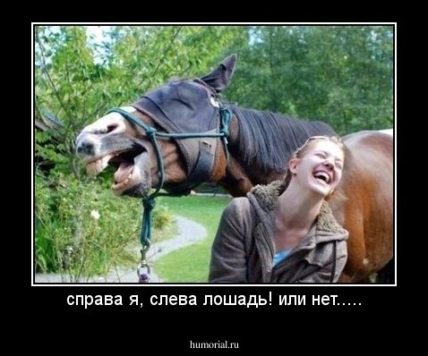 справа я, слева лошадь! или нет.....