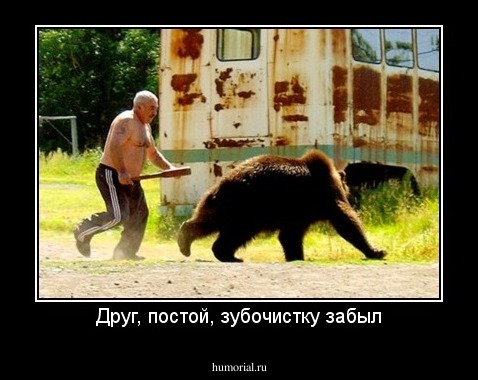 Друг, постой, зубочистку забыл