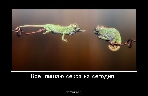 Все, лишаю секса на сегодня!!