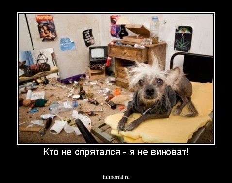 Кто не спрятался - я не виноват!