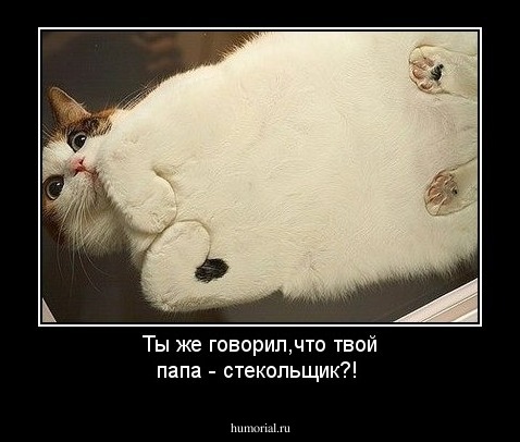 Ты же говорил,что твой папа - стекольщик?!