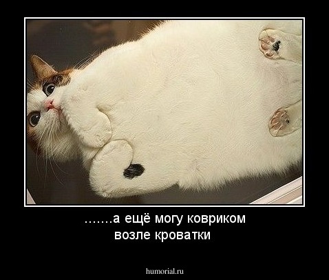 .......а ещё могу ковриком возле кроватки