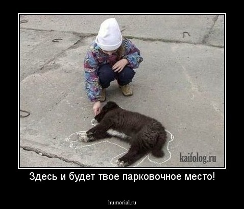 Здесь и будет твое парковочное место!