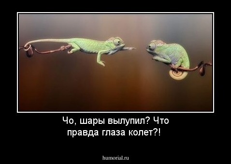 Чо, шары вылупил?  Что правда глаза колет?!