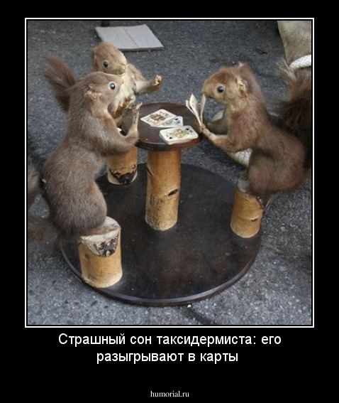Страшный сон таксидермиста:  его разыгрывают в карты