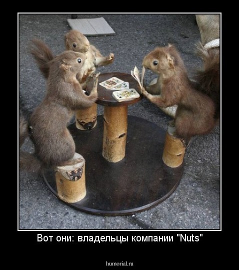 Вот они: владельцы компании "Nuts"